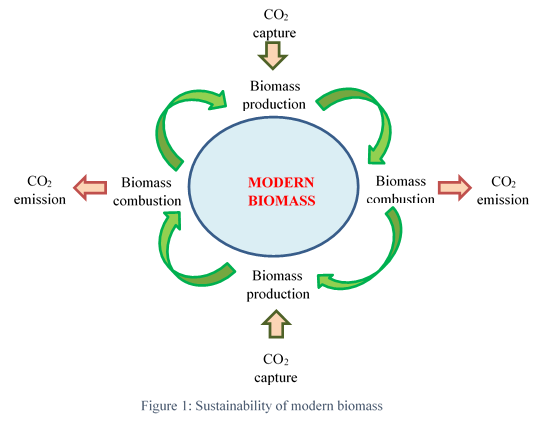Are Biomass and Biofuel the Same Thing?