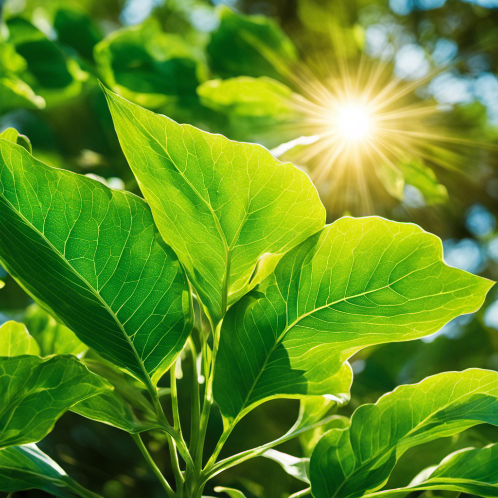 An image showcasing a vibrant, leafy plant basking in the warm sunlight, with rays of light penetrating its chlorophyll-filled cells, symbolizing its ability to harness solar energy through photosynthesis