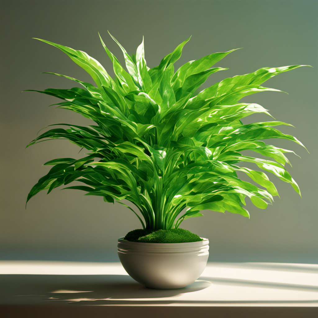 An image depicting a vibrant green plant, bathed in sunlight, with rays of energy being absorbed through its leaves