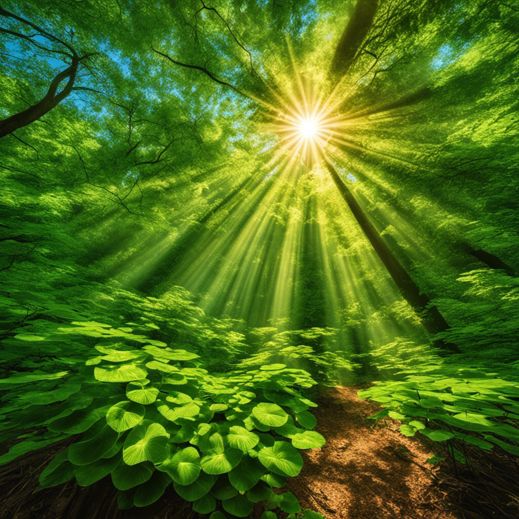 An image showcasing a vibrant sun radiating intense rays towards a lush green forest