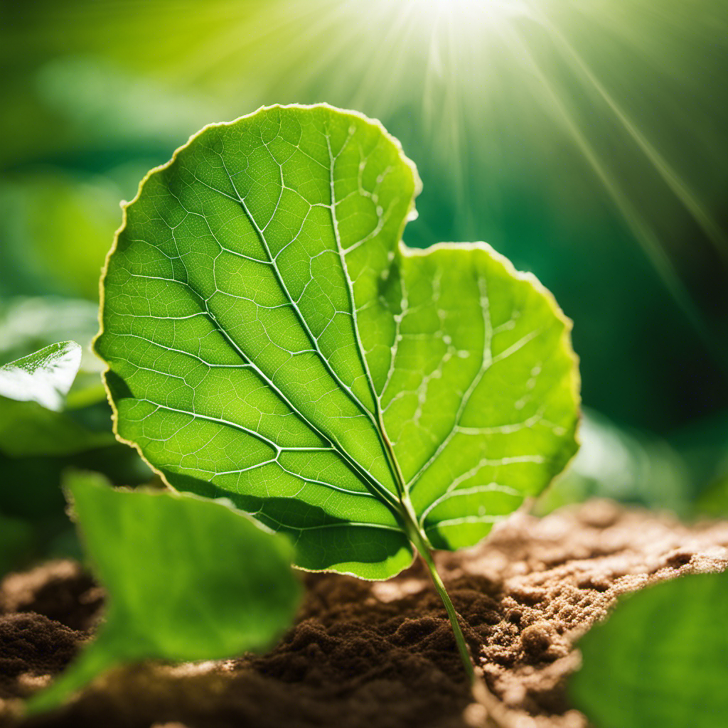 An image showcasing a vibrant green leaf bathed in sunlight, with clearly visible chlorophyll molecules absorbing photons, emphasizing the pivotal role of chlorophyll in capturing solar energy for photosynthesis